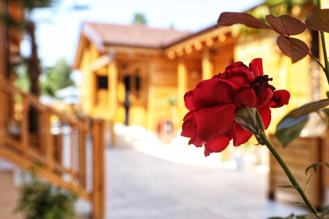 Hotel Bujtina Siar Pogradec Exteriér fotografie