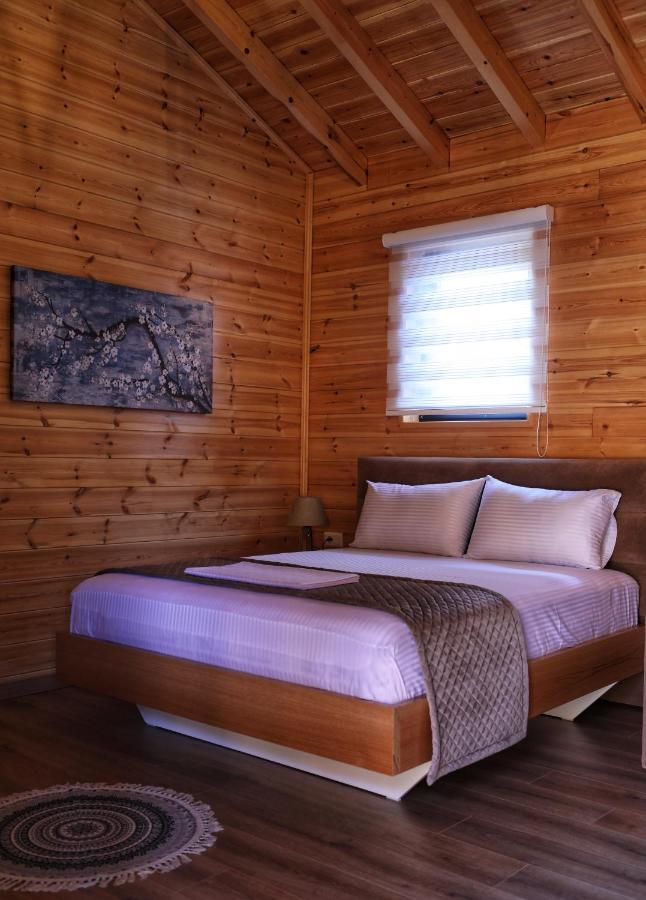 Hotel Bujtina Siar Pogradec Exteriér fotografie