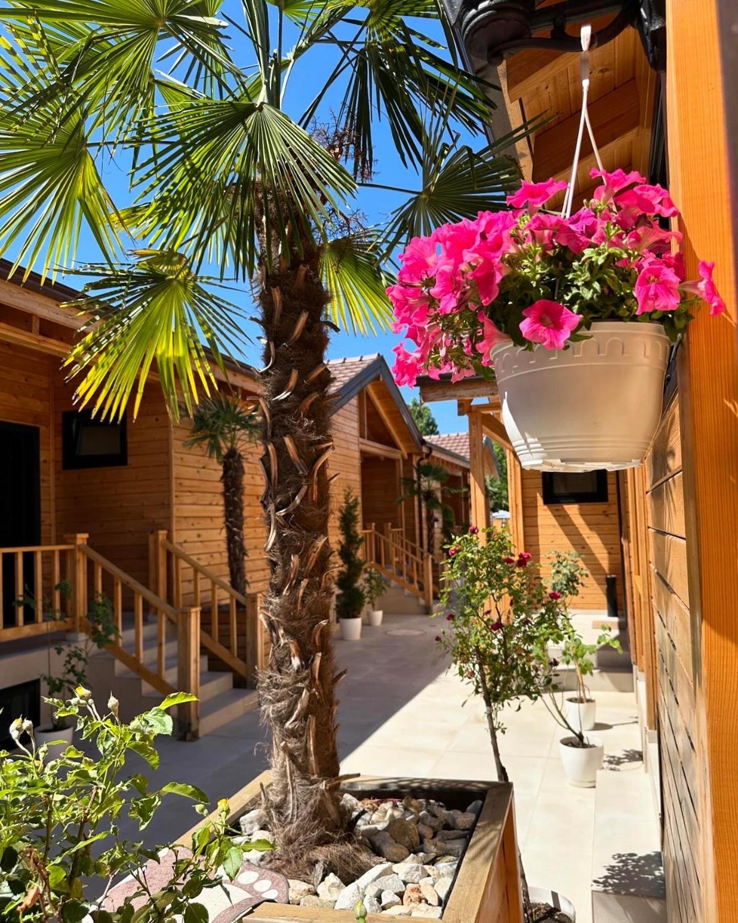 Hotel Bujtina Siar Pogradec Exteriér fotografie