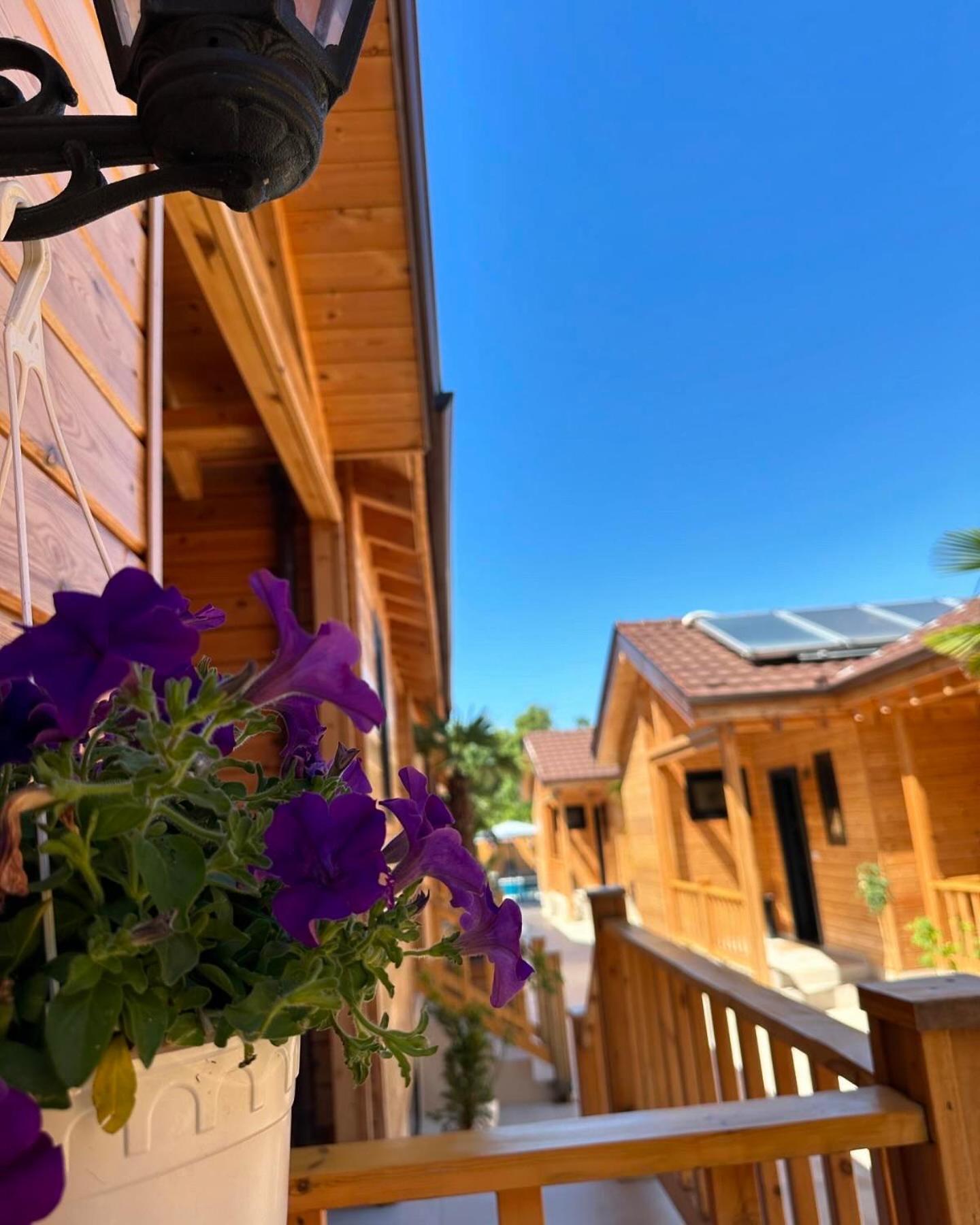 Hotel Bujtina Siar Pogradec Exteriér fotografie